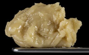 Master Makers - Concentrate - Rosin - Motor Breath x Banana Punch - 1g