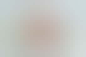 ROBHOTS Plus Gummies | MED | 20:1s (CBD:THC)