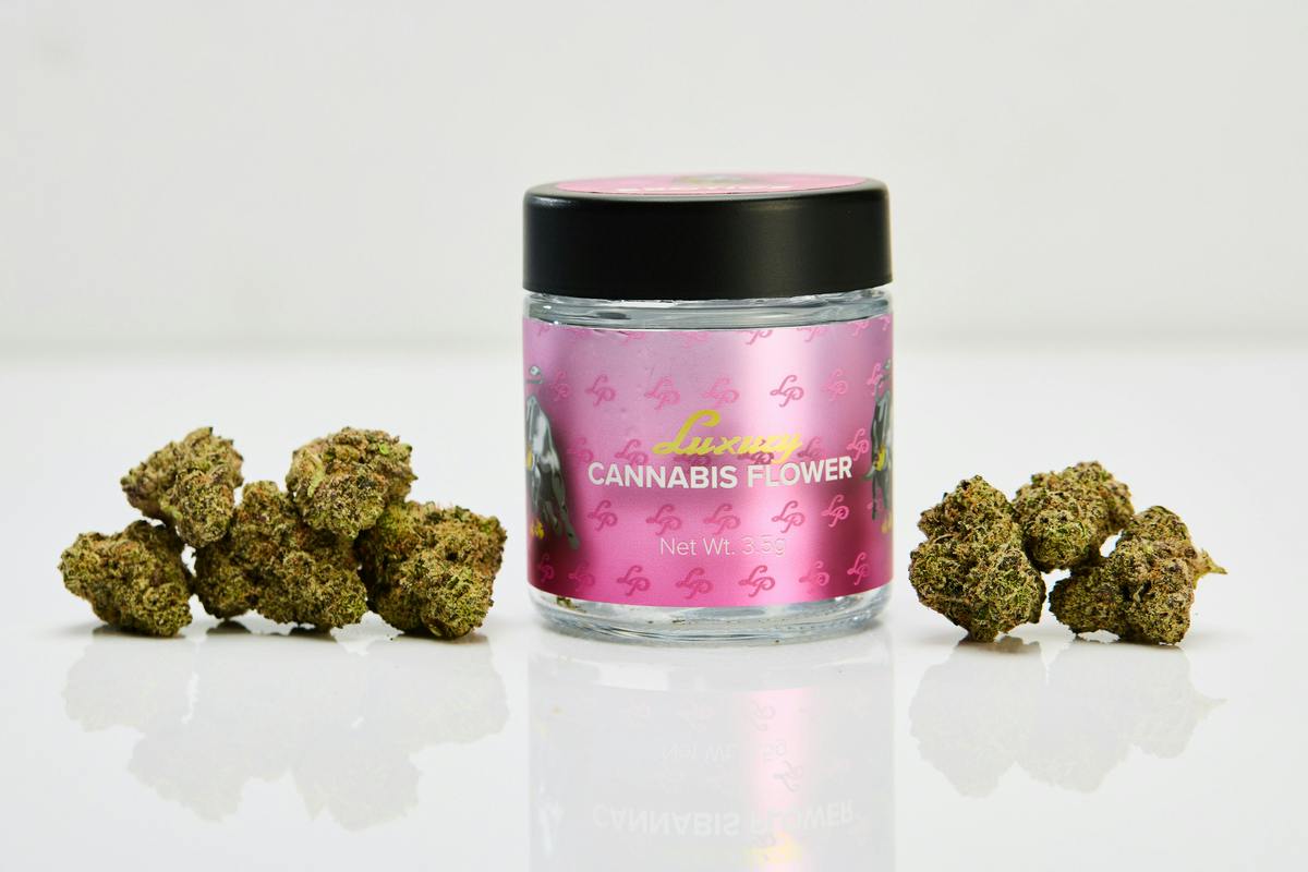 LP Exotics Dutch Treat Haze 3.5g Flower - LP Exotics