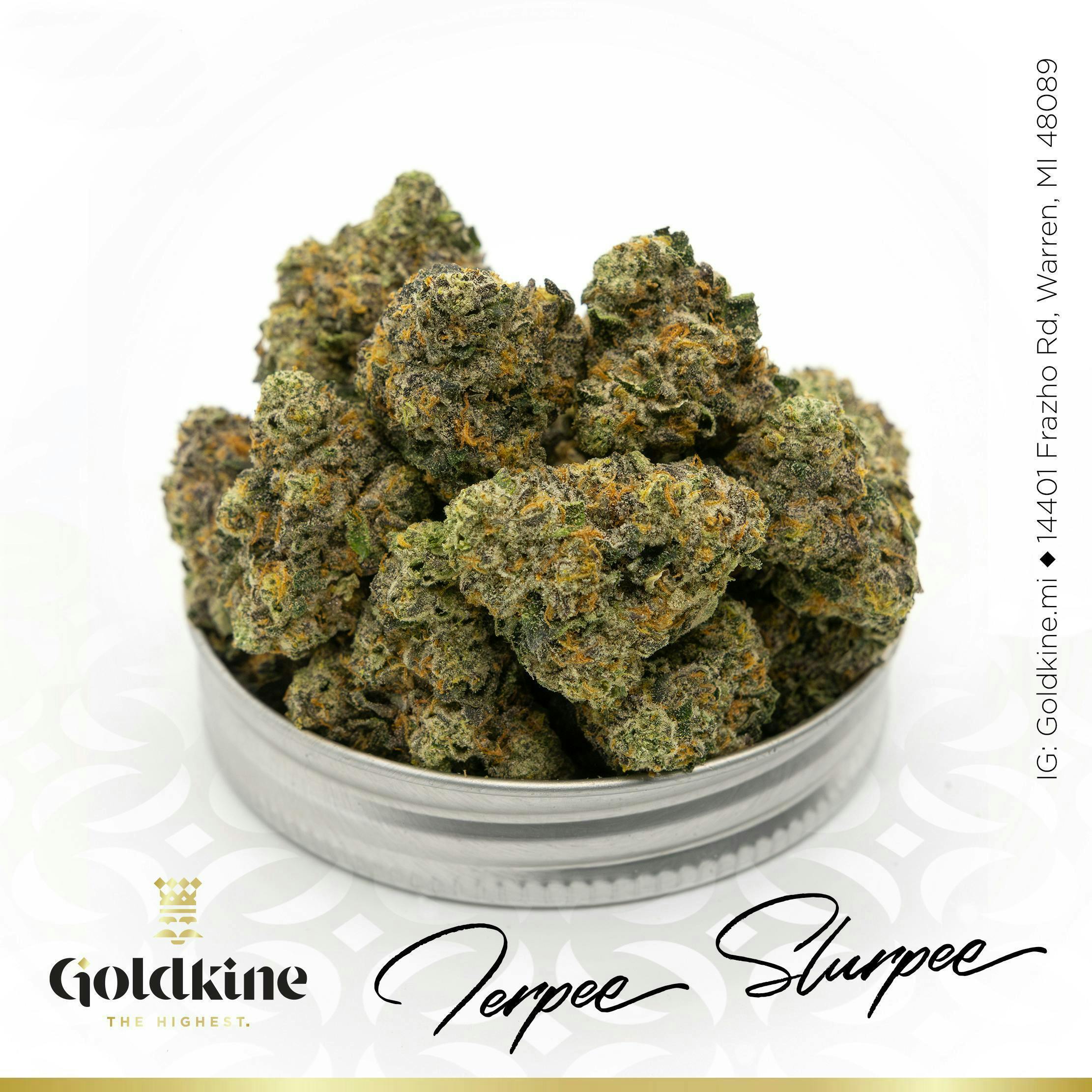 Goldkine Flower "Bigs" | Turpee Slurpee by Goldkine