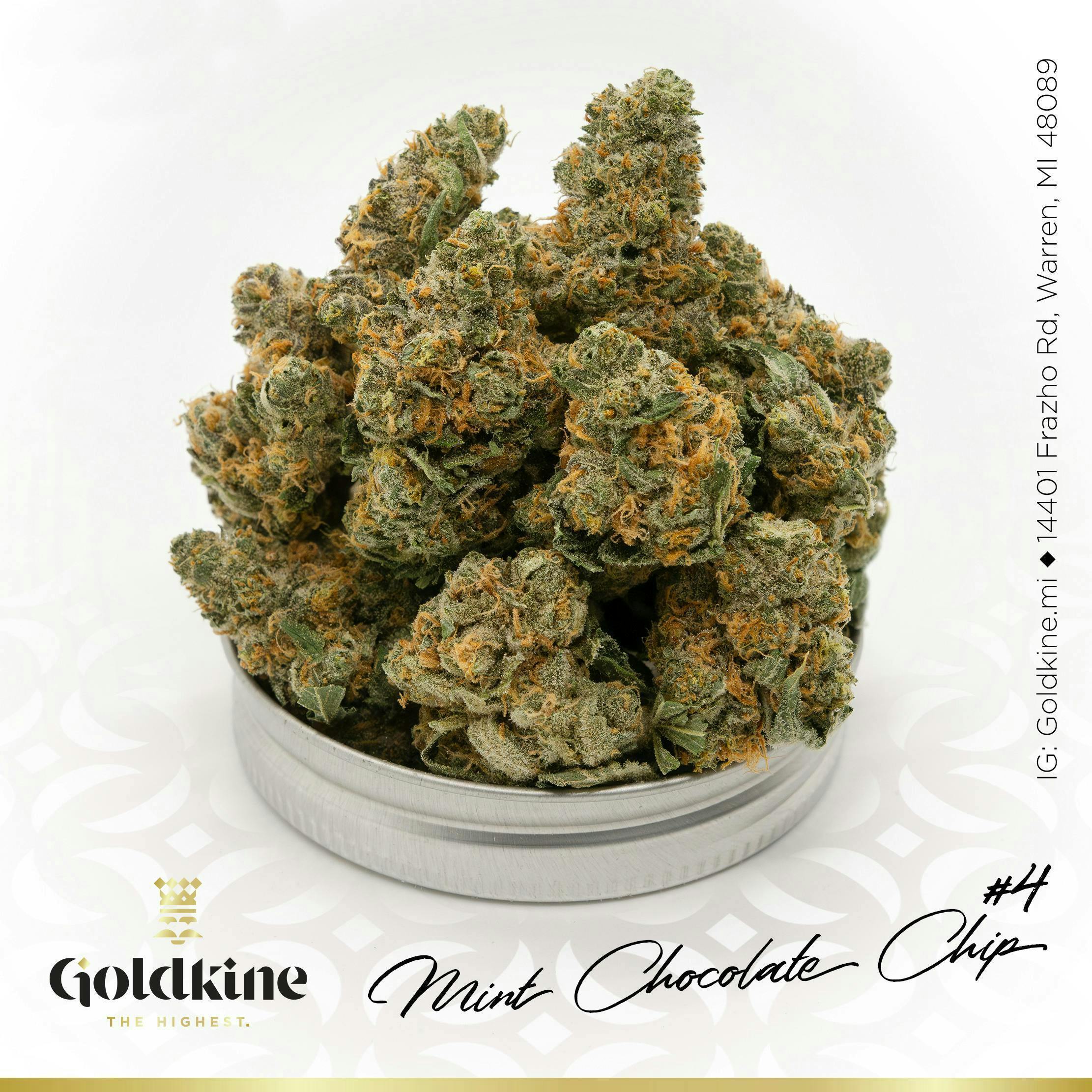 Goldkine Flower "Bigs" | Mint Chocolate Chip