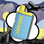 AIRPLANE MODE - 1G HOLIDAY Vapes