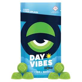 DAY VIBES - Citrus Splash CBG + Ginseng - 2000mg