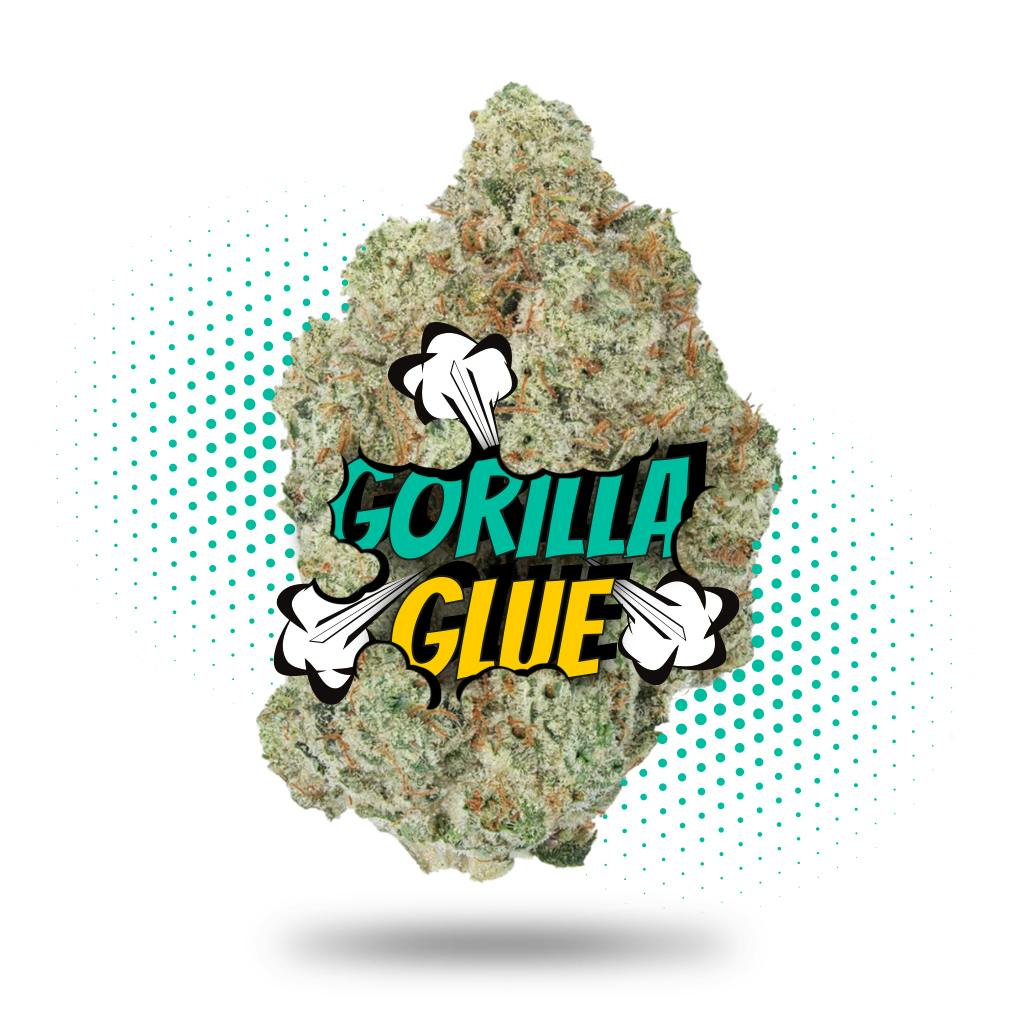 Gorilla Glue - Topshelf Indoor - New Drop - Hybrid