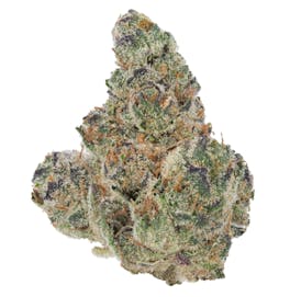 Pink Passionfruit 1g