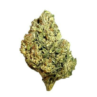 Smoakland Exotix | Biscotti | Big Buds | 14g by Smoakland