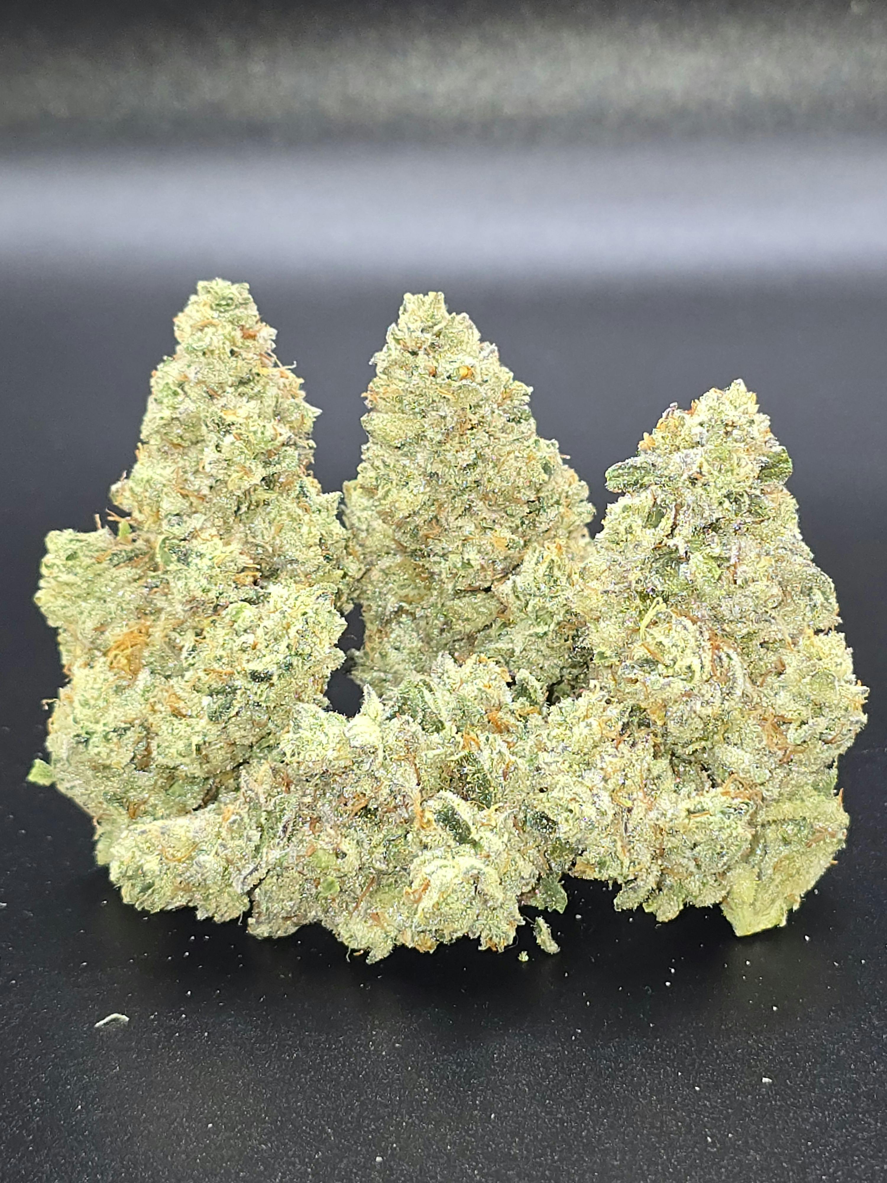 Smackerz by Piranha Production Co
