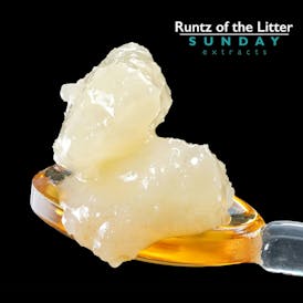 1g Concentrate Runtz of the Litter
