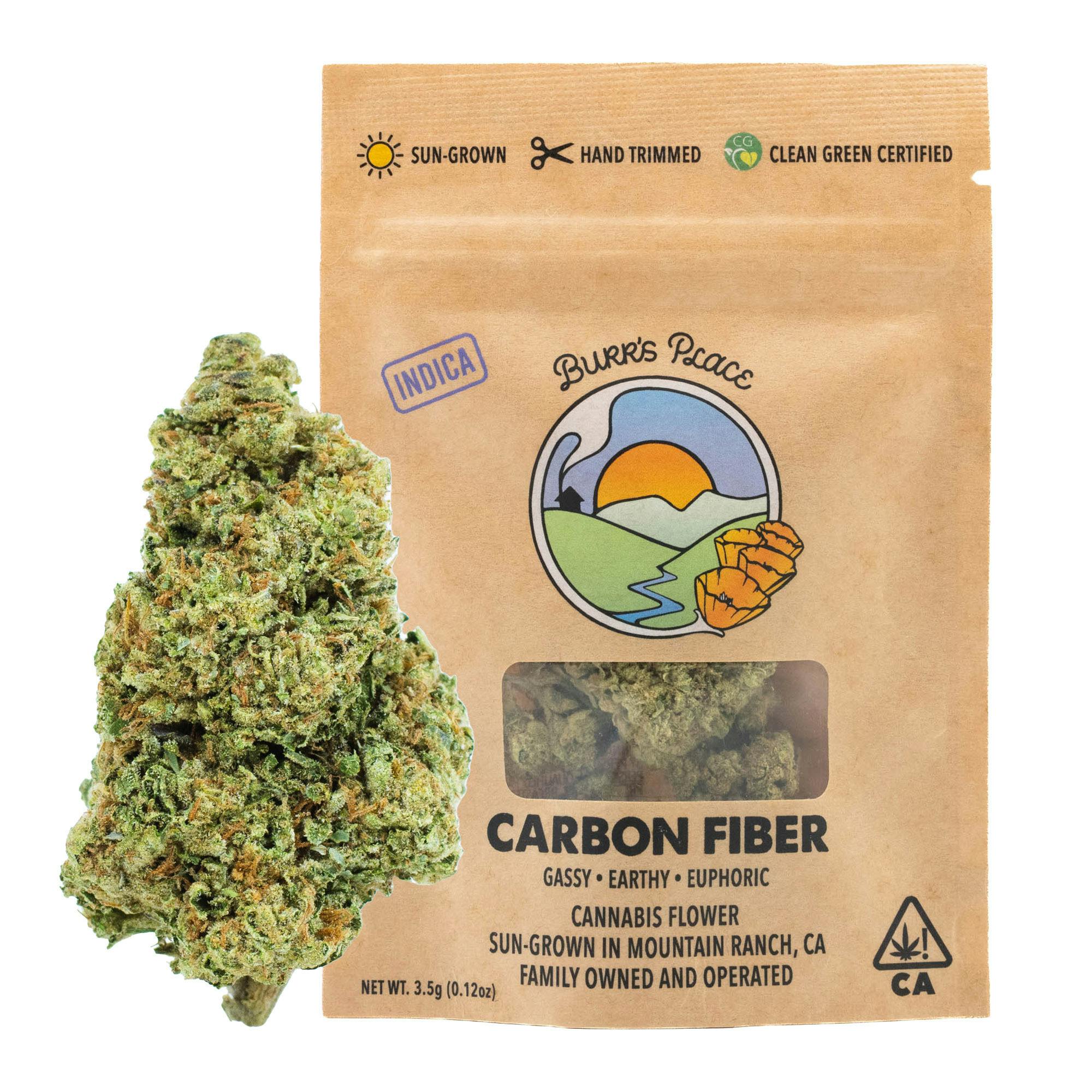 Burr's Place: Carbon Fiber
