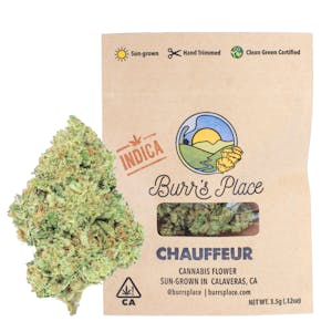 Burr's Place - Promo Burr's Place | Chauffeur - 3.5g Bag (Indica)