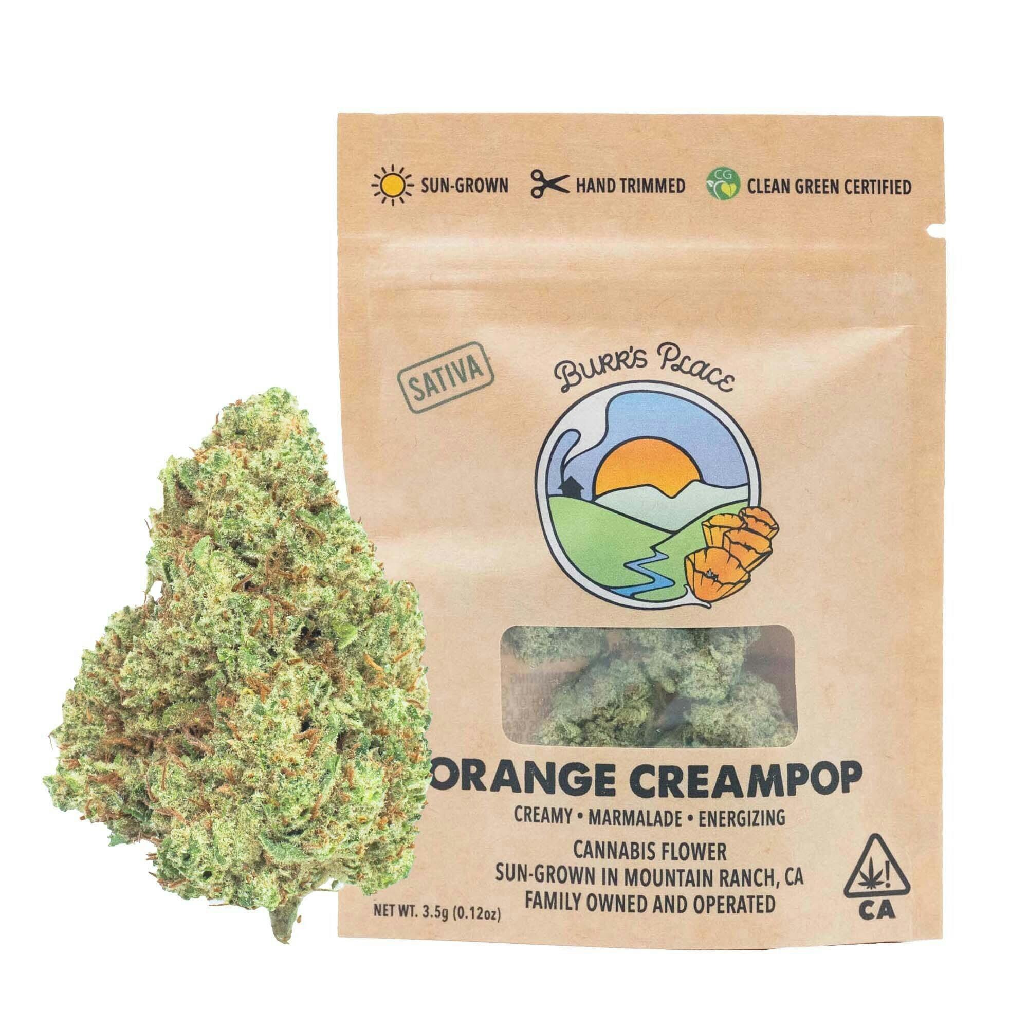 Burr's Place: Orange