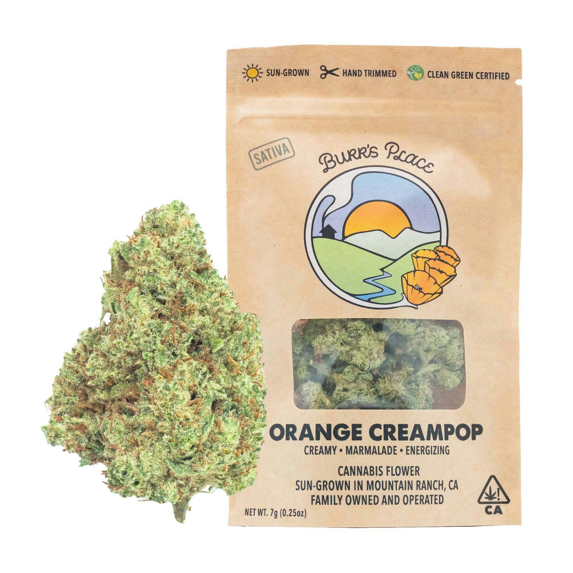 Burr's Place: Orange Creampop