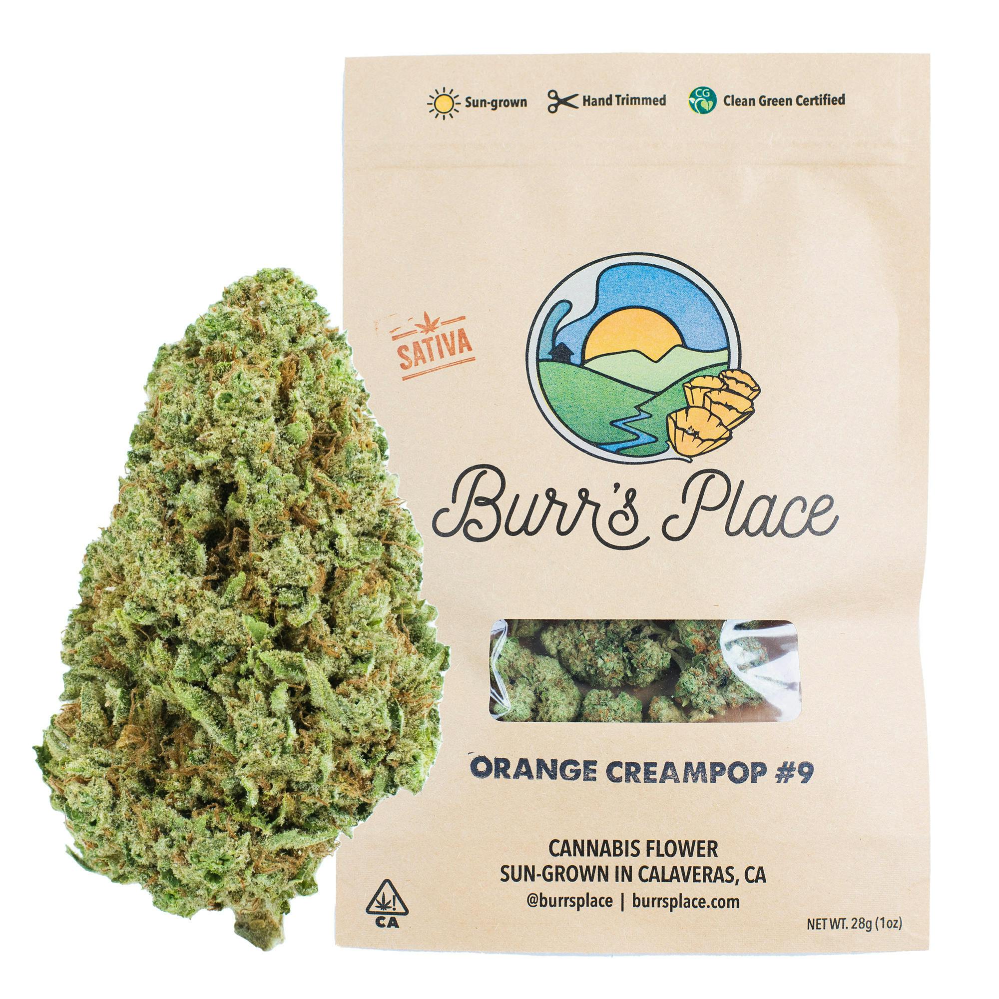 Burr's Place — Orange Cream Pop