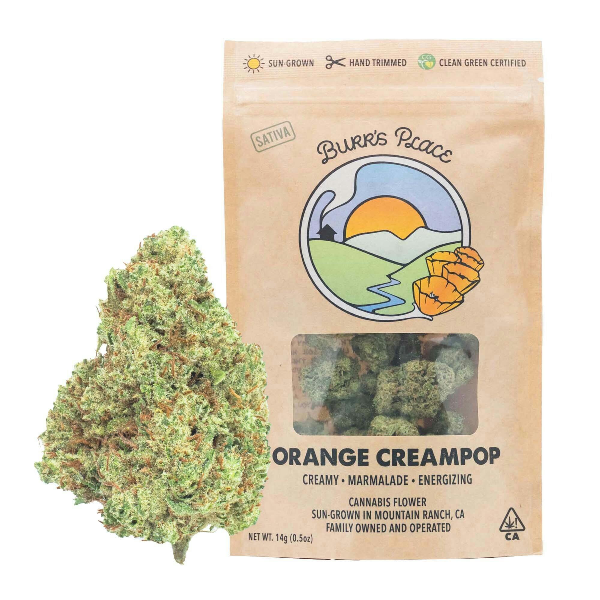 Burr's Place: Orange Creampop