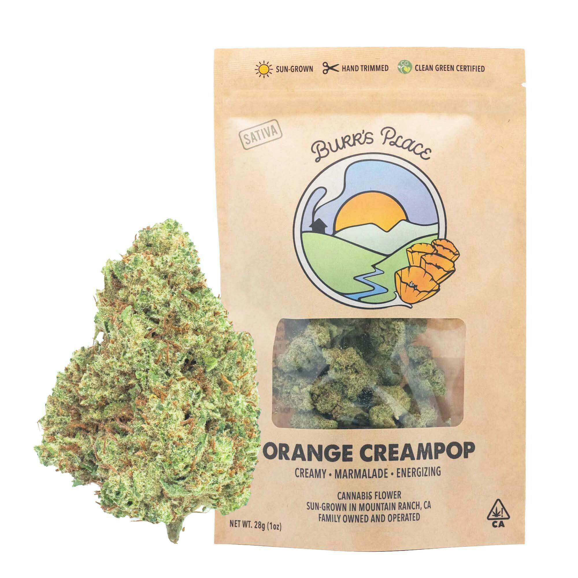 Orange Creampop | Big Buds | 28g by Burr's Place