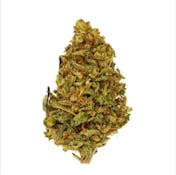 Exotix - Tropicana Cookies - 14g