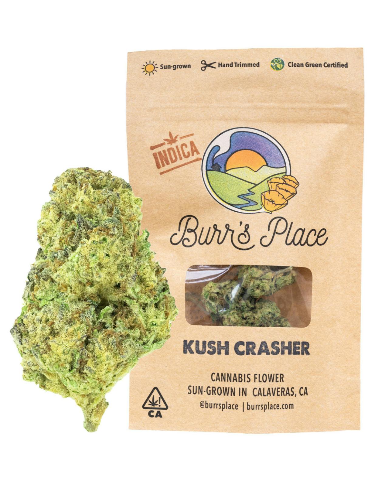 Burr's Place — Kush Crasher