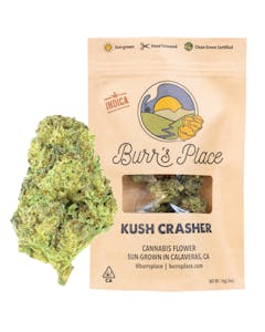 Burr's Place - Burr's Place | Kush Crasher - 14g Bag