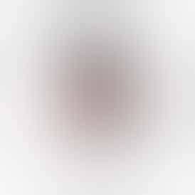 GIRL SCOUT COOKIES 0.5 JOINT