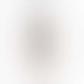 GIRL SCOUT COOKIES 1G JOINT