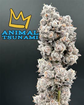 Animal Tsunami Exotic Flower Flower