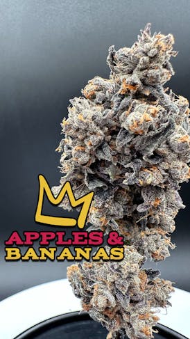 Apples & Bananas Exotic Flower Flower