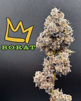BORAT Exotic Flower Flower