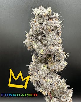 Funkdafied Exotic Flower Flower