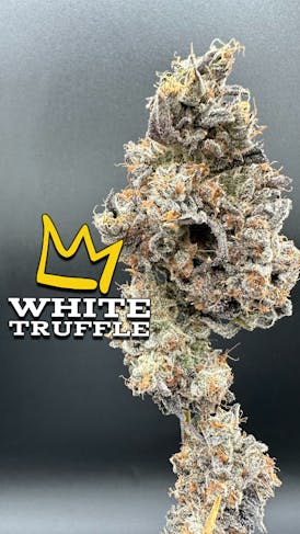 White Truffle Exotic Flower Flower