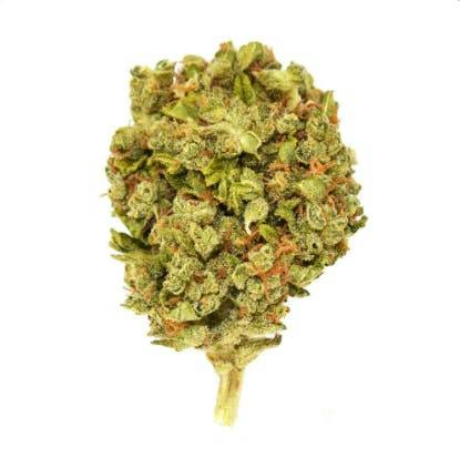 Smoakland Xclusivez | Red Runtz | Buds | 28g