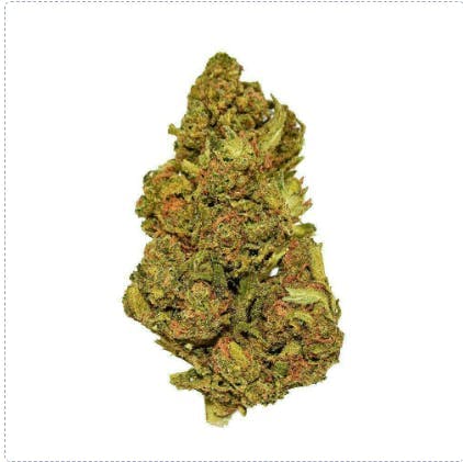 Smoakland: Blue Cookies