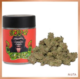 Sour Glue "Smalls" (7g) SATIVA INDOOR [Mota]