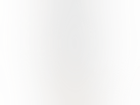 Georgia's Best Stinger (Hybrid) 5 Pre-Rolls 2.5g