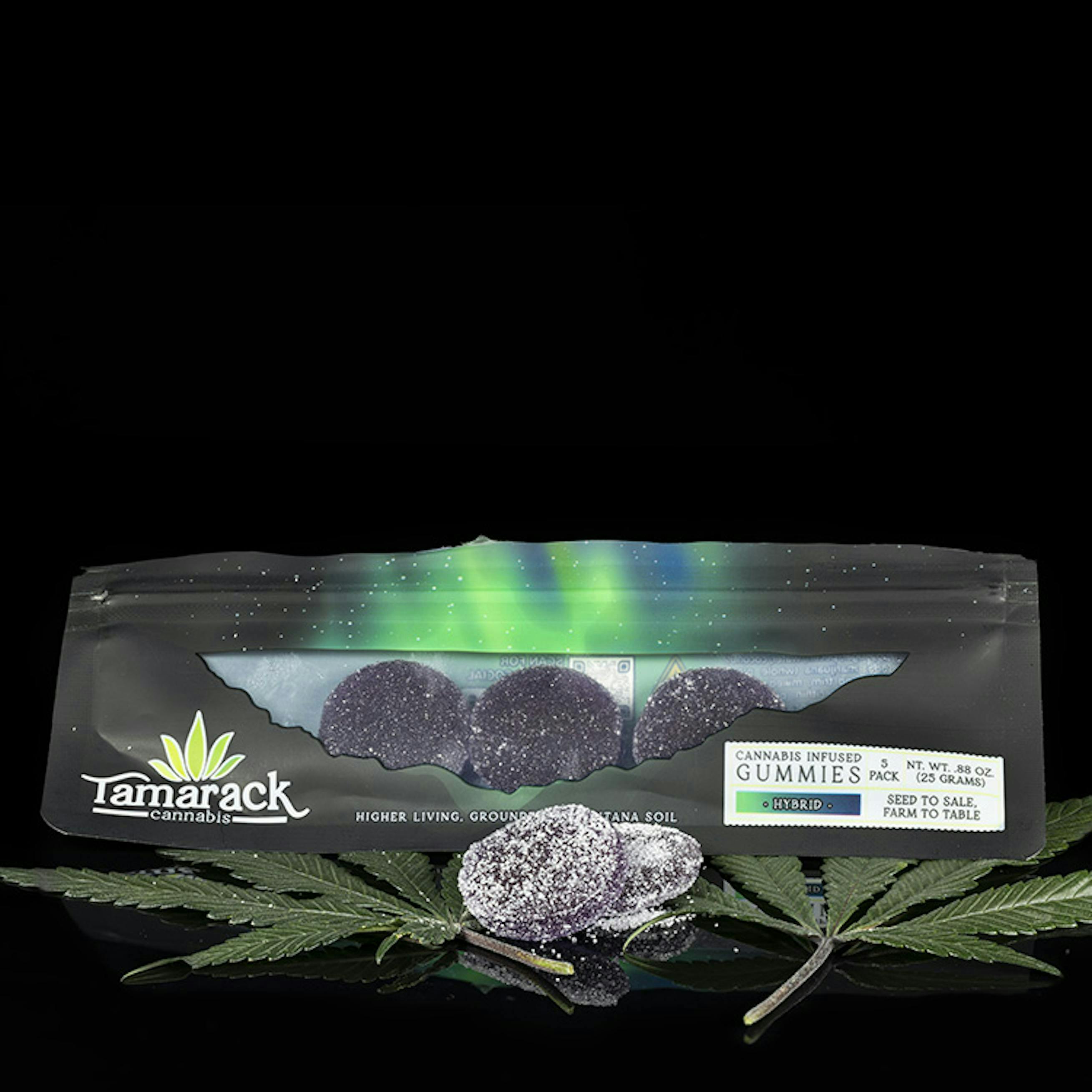 Blackberry Sours Extra Strength Hybrid Gummies 5PK