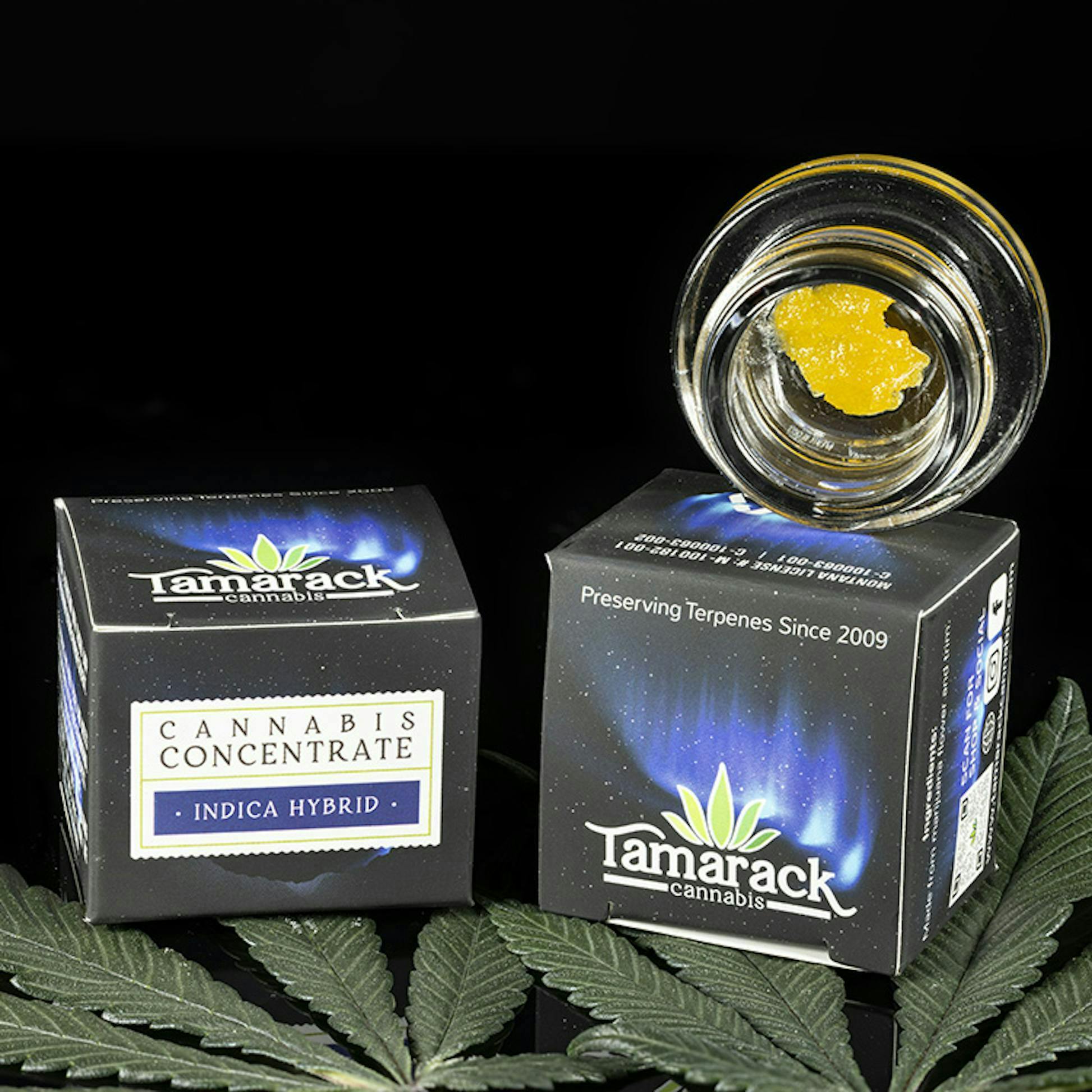 Ice Cream Cake Live Sugar 1G by Tamarack Cannabis