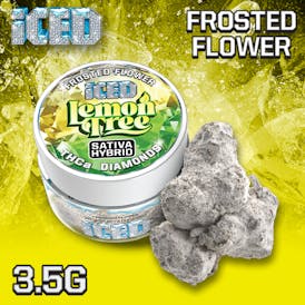 Jarred Infused Flower - 3.5g - Lemon Tree