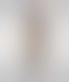 Presidential THC Moon Rock Blunt - Runtz (1.5g)