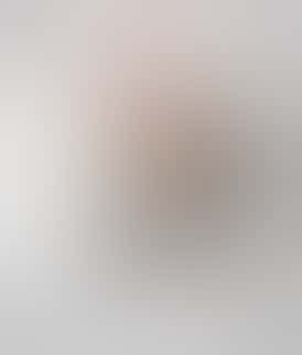 Presidential THC Pee-Wee Moon Rock Mini Blunts - Gelato (2.1g)