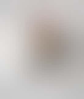 Presidential THC Pee-Wee Moon Rock Mini Blunts - Runtz (2.1g)