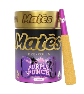 MUHA MEDS - Muha Meds - Purple Punch - 3g Mates Infused Pre Rolls - 5pk