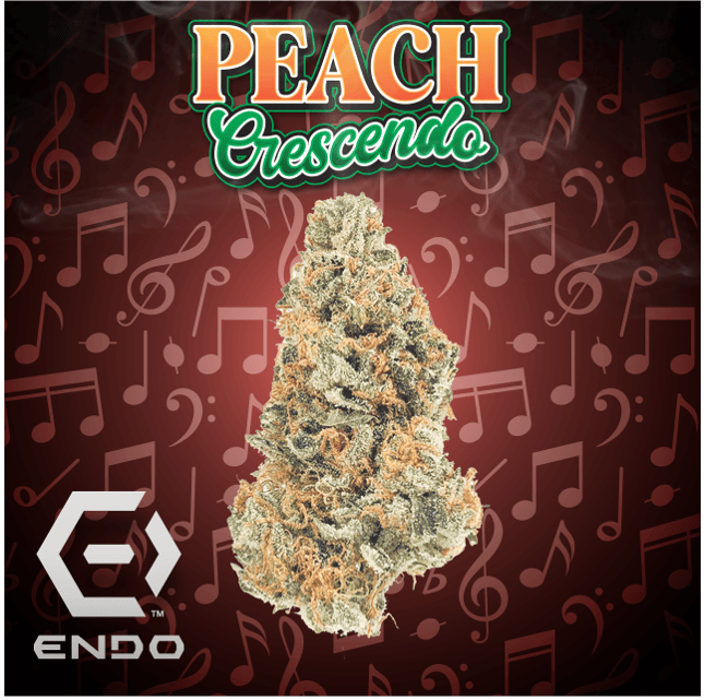 ENDO PRIME PEACH CRESCENDO 3.5G by Endo