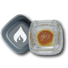 Element Cured Resin 1G - Wonka Bars