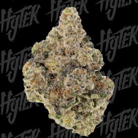 HYTEK | CAP JUNKY | BULK DELI FLOWER