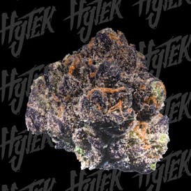 HYTEK | GASTRO POP | BULK DELI FLOWER