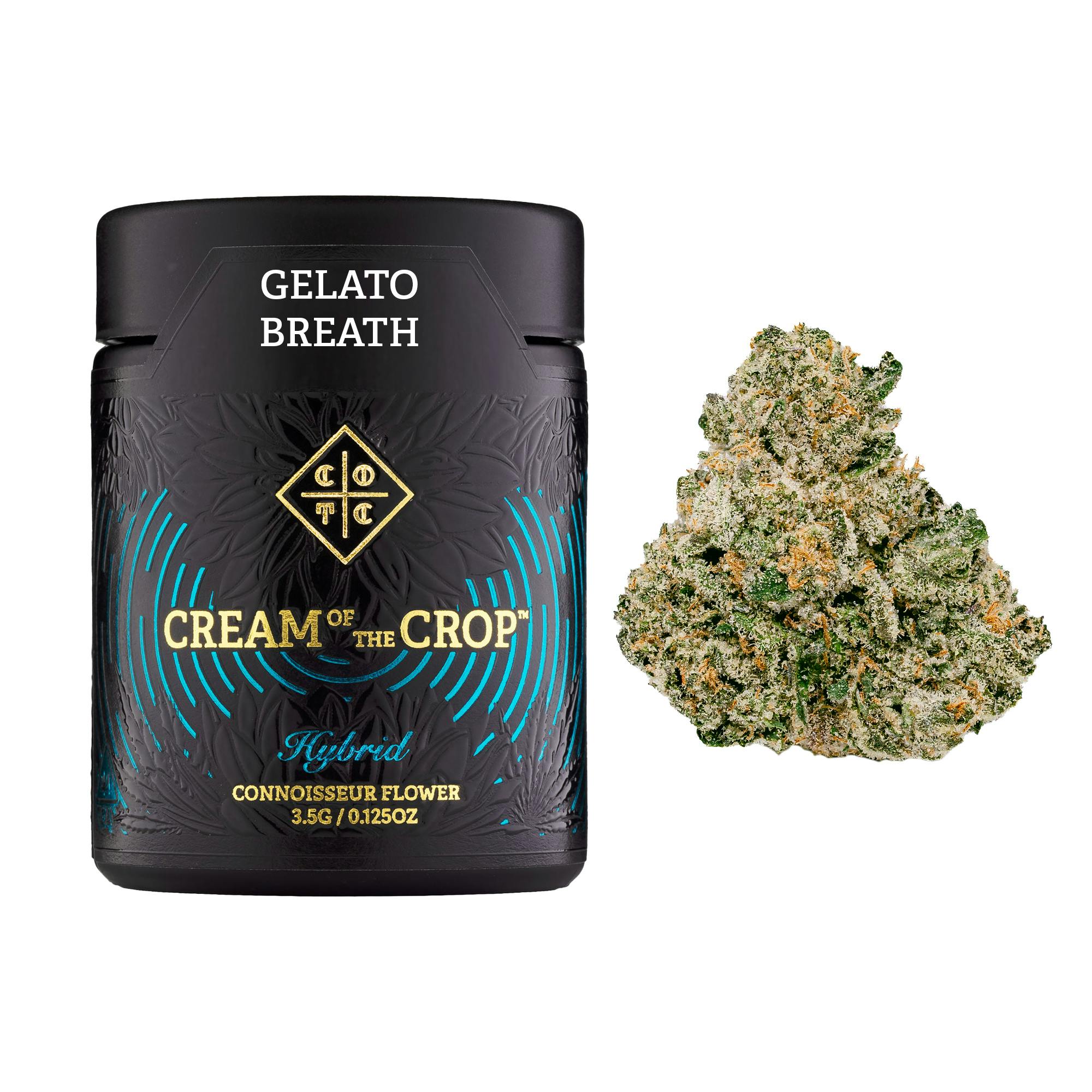 Gelato Breath | 3.5g | Flower