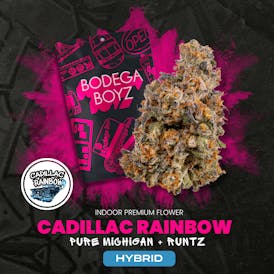 Bodega Boyz Cadillac Rainbow | OK
