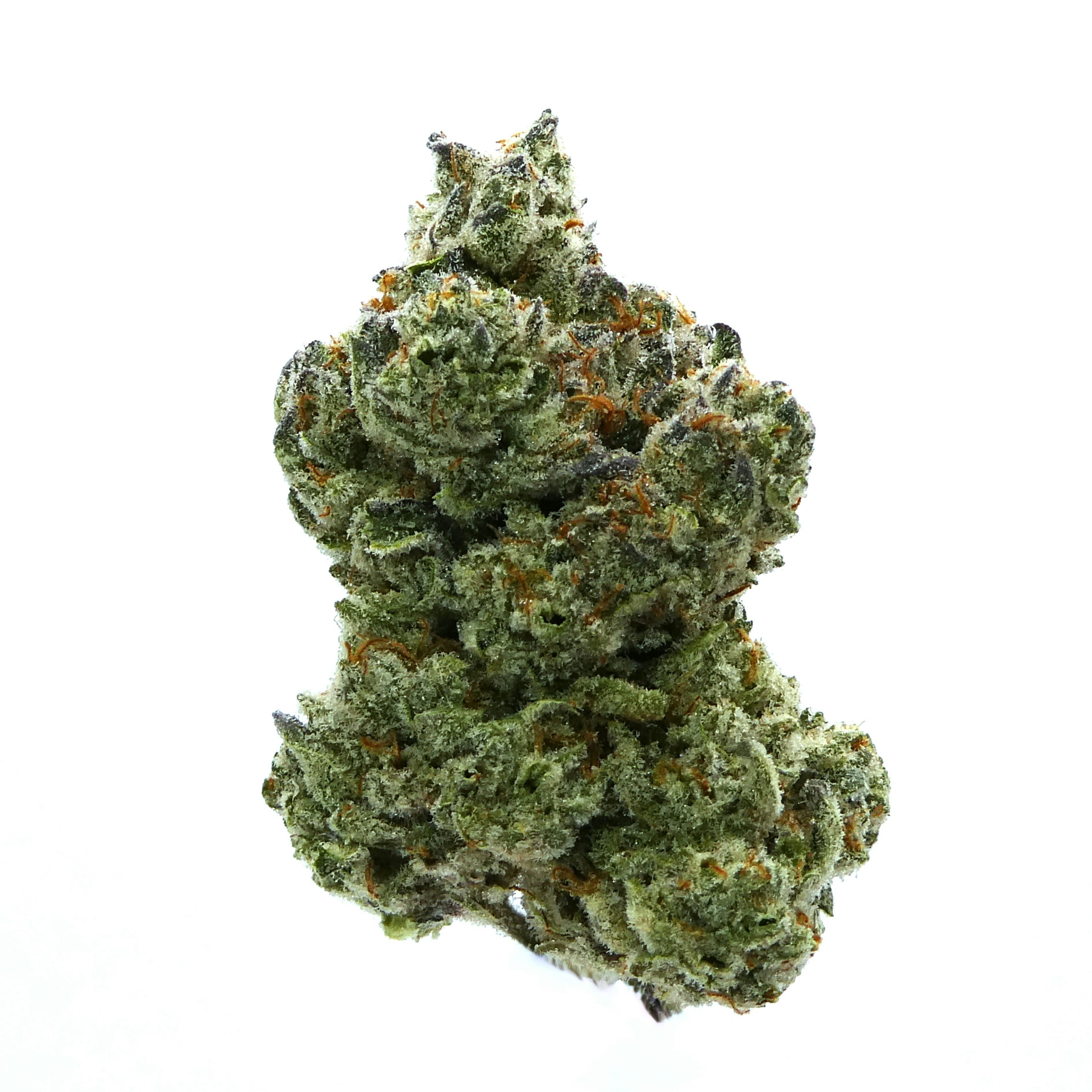 Avitas: Juicee J Buds