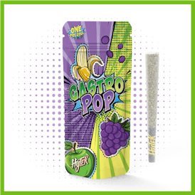 HYTEK | GASTRO POP | 1g PREROLL