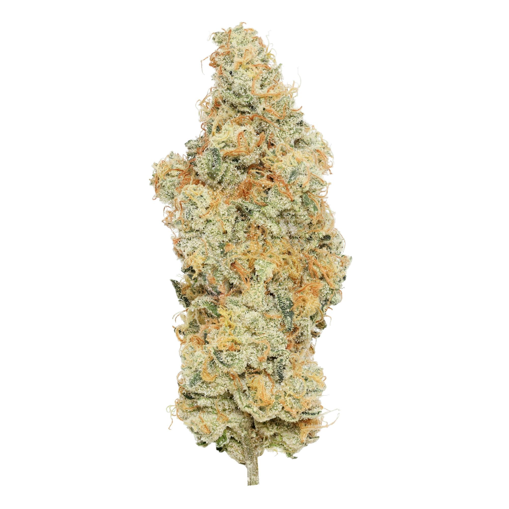 Grape Gas Deli Flower