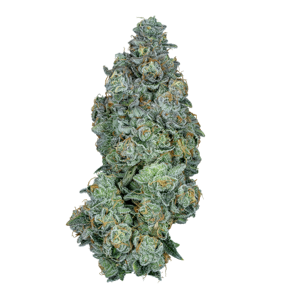 Grape Gas - Deli